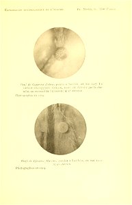 n214_w1150