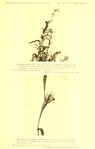 n184_w1150