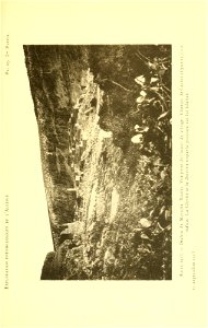 n124_w1150