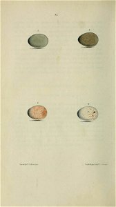 n143_w1150