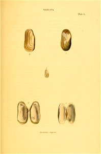 n184_w1150