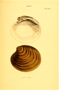 n232_w1150