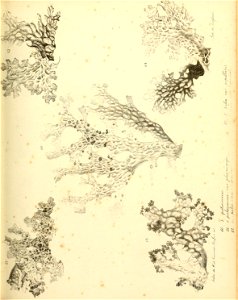 n48_w1150