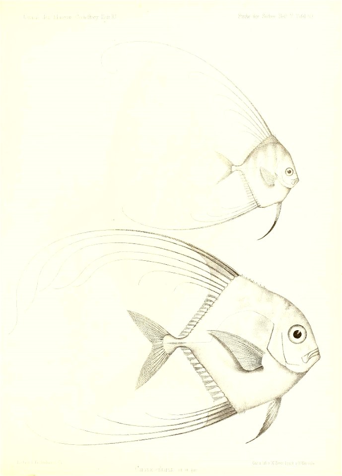 n58_w1150