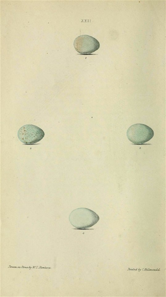 n139_w1150