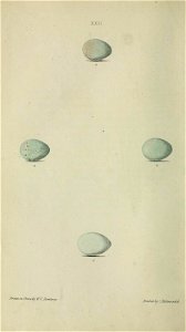 n139_w1150