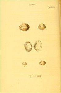 n179_w1150