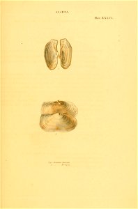n132_w1150