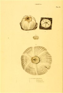 n33_w1150
