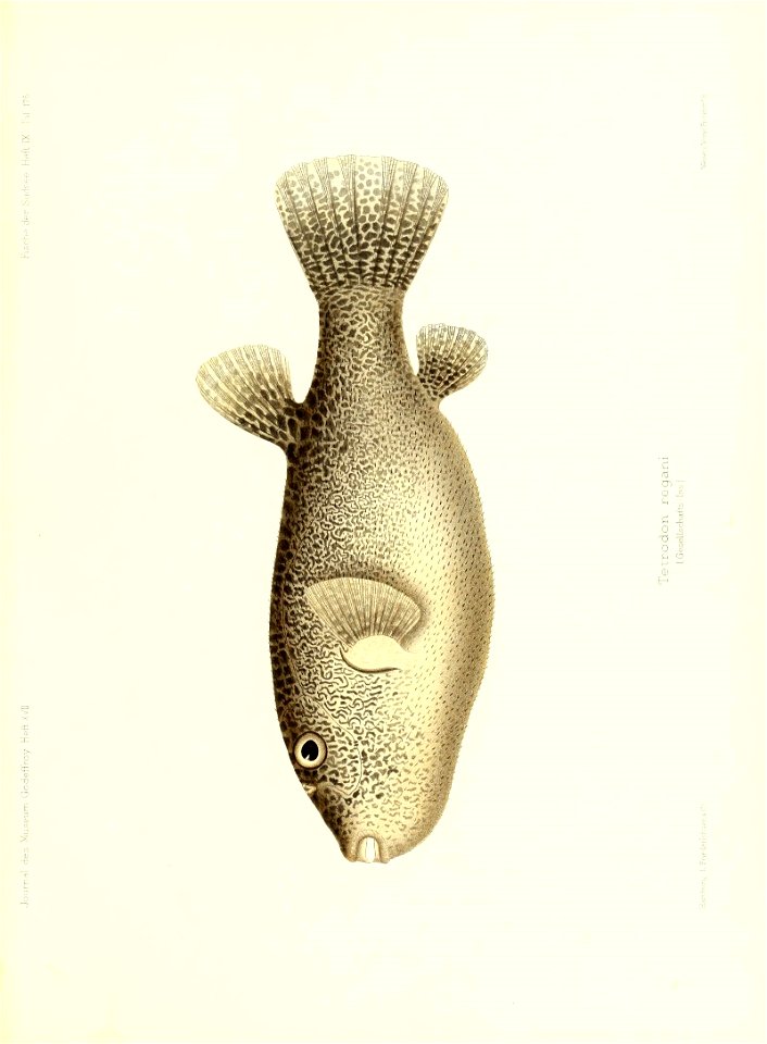 n352_w1150