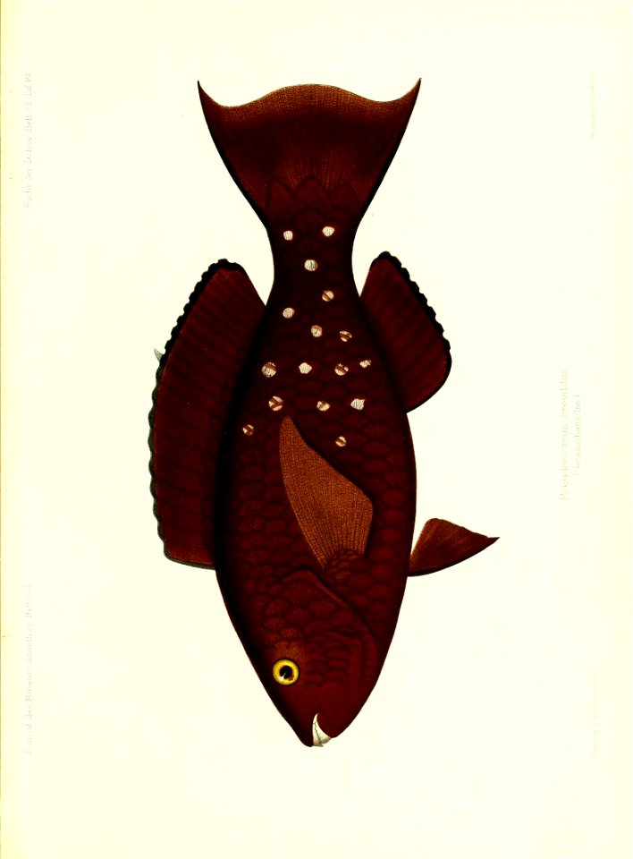 n324_w1150