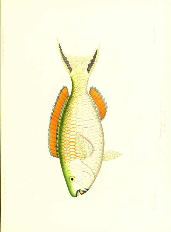 n174_w1150