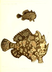 n138_w1150