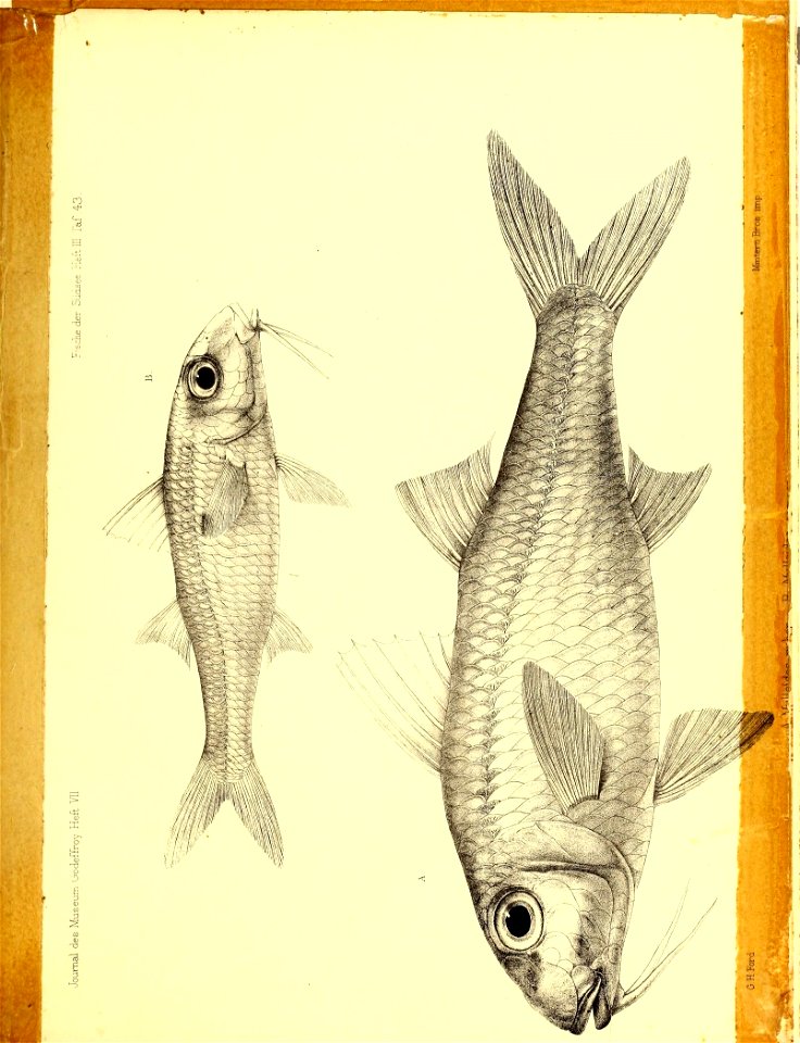 n228_w1150