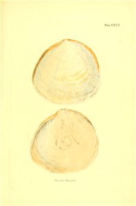 n428_w1150