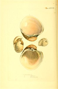 n269_w1150
