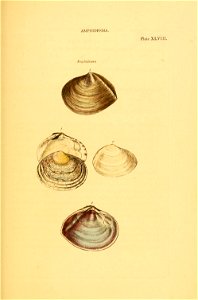 n176_w1150