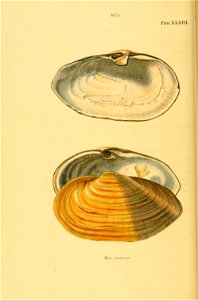 n129_w1150