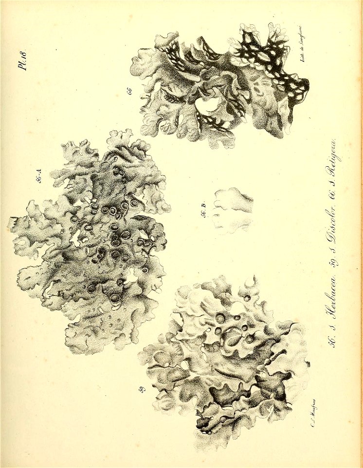 n46_w1150