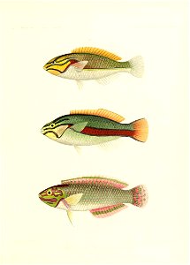 n148_w1150