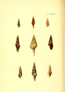 n403_w1150