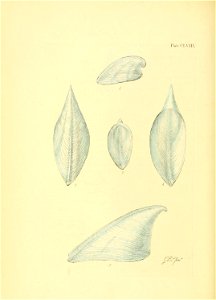 n123_w1150