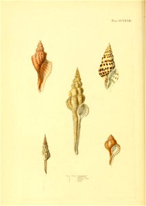 n399_w1150