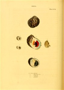 n293_w1150