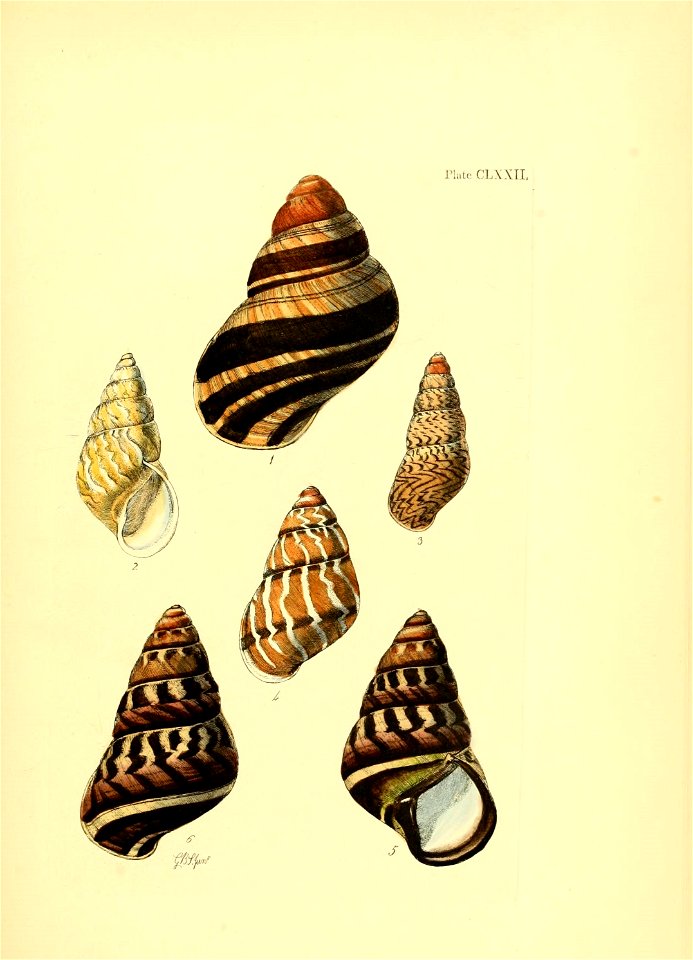 n174_w1150