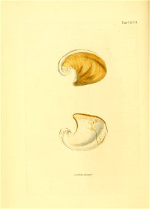 n119_w1150