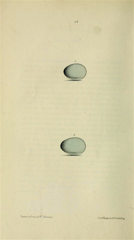 n199_w1150