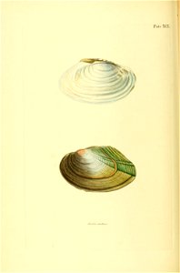 n315_w1150