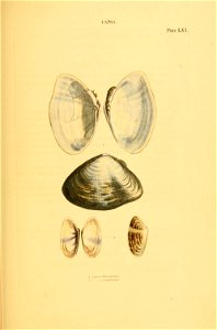 n218_w1150