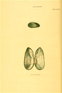 n123_w1150