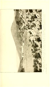 n220_w1150