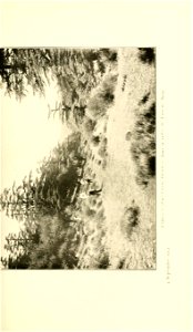 n190_w1150