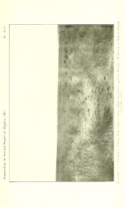 n566_w1150