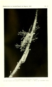 n506_w1150