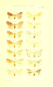 n416_w1150