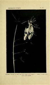n182_w1150