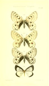 n402_w1150
