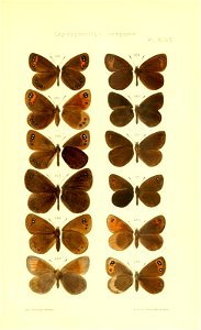 n722_w1150