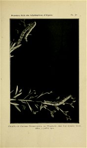 n206_w1150