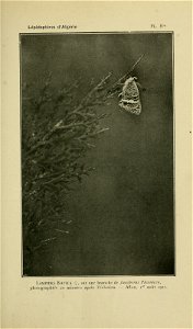 n176_w1150