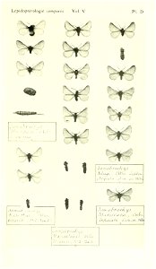 n458_w1150