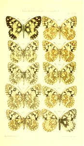 n398_w1150