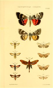 n578_w1150