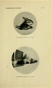 n174_w1150