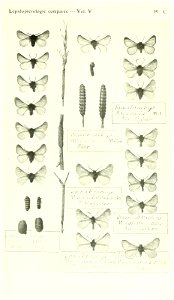 n456_w1150