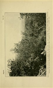 n258_w1150